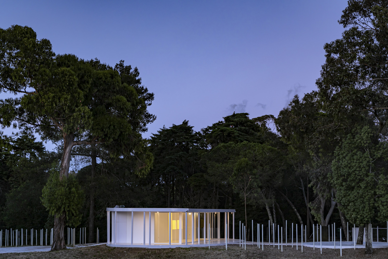 Floresta Branca em Monsanto / Bruno Camara Arquitectos