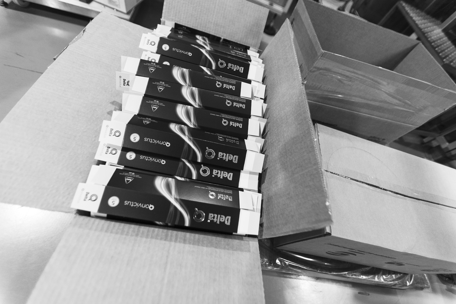 Familia Nabeiro, Campo Maior