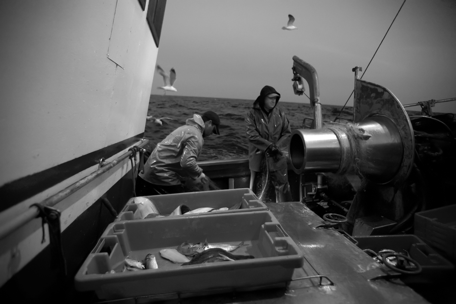 Pesca em Peniche 005