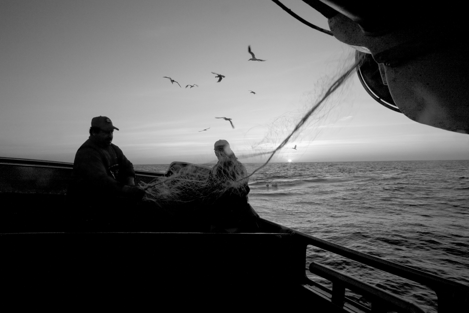 Pesca em Peniche 007