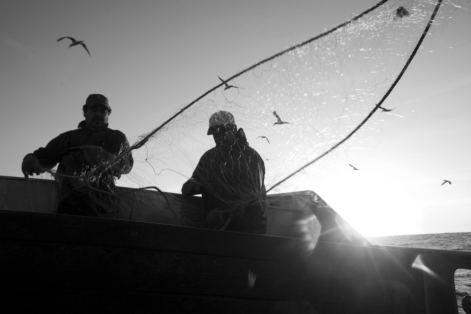 Pesca em Peniche 008