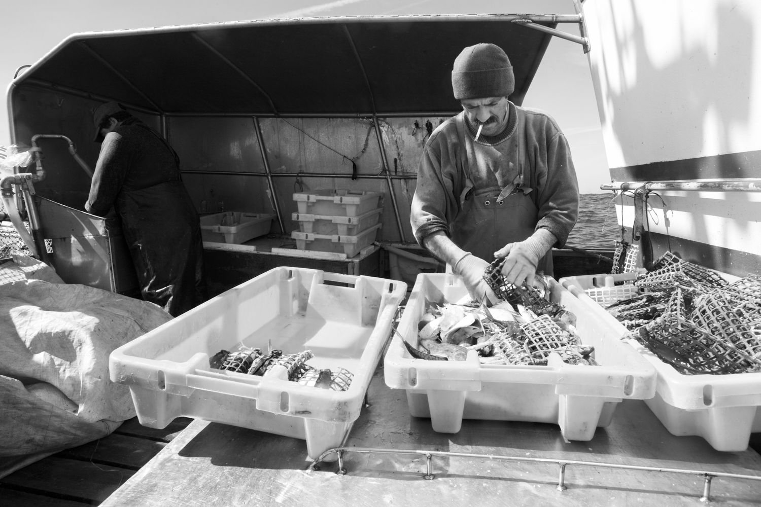 Pesca em Peniche 015