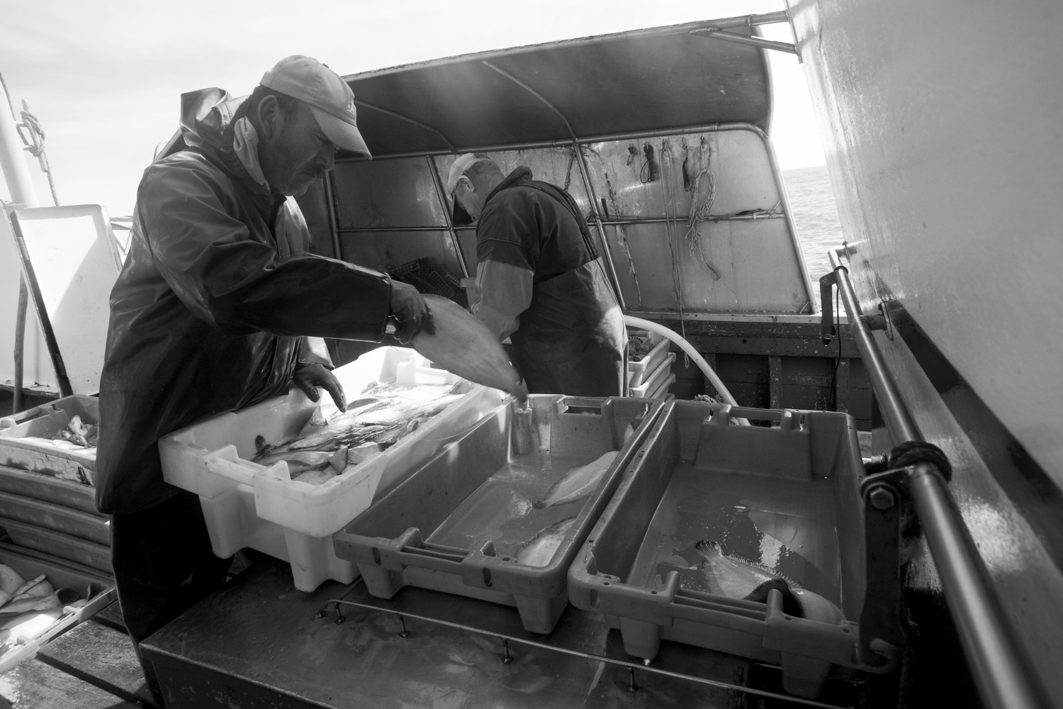 Pesca em Peniche 023