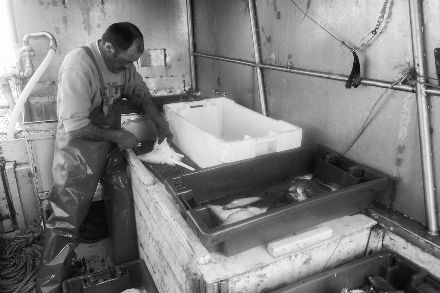 Pesca em Peniche 024