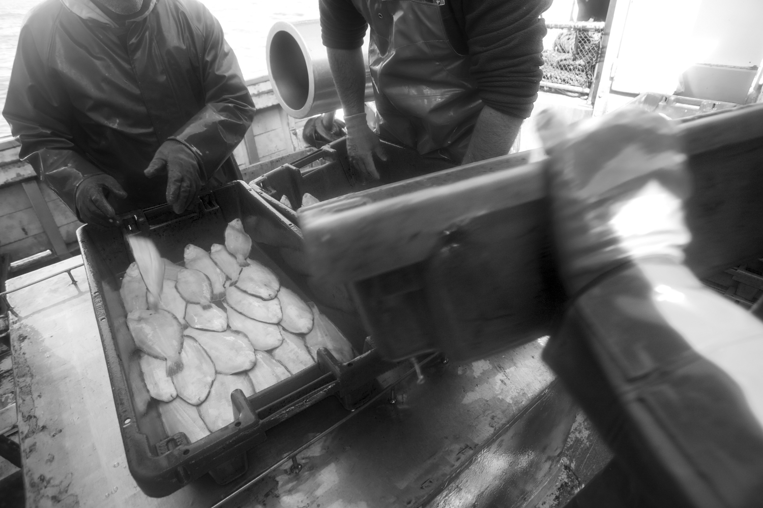 Pesca em Peniche 025