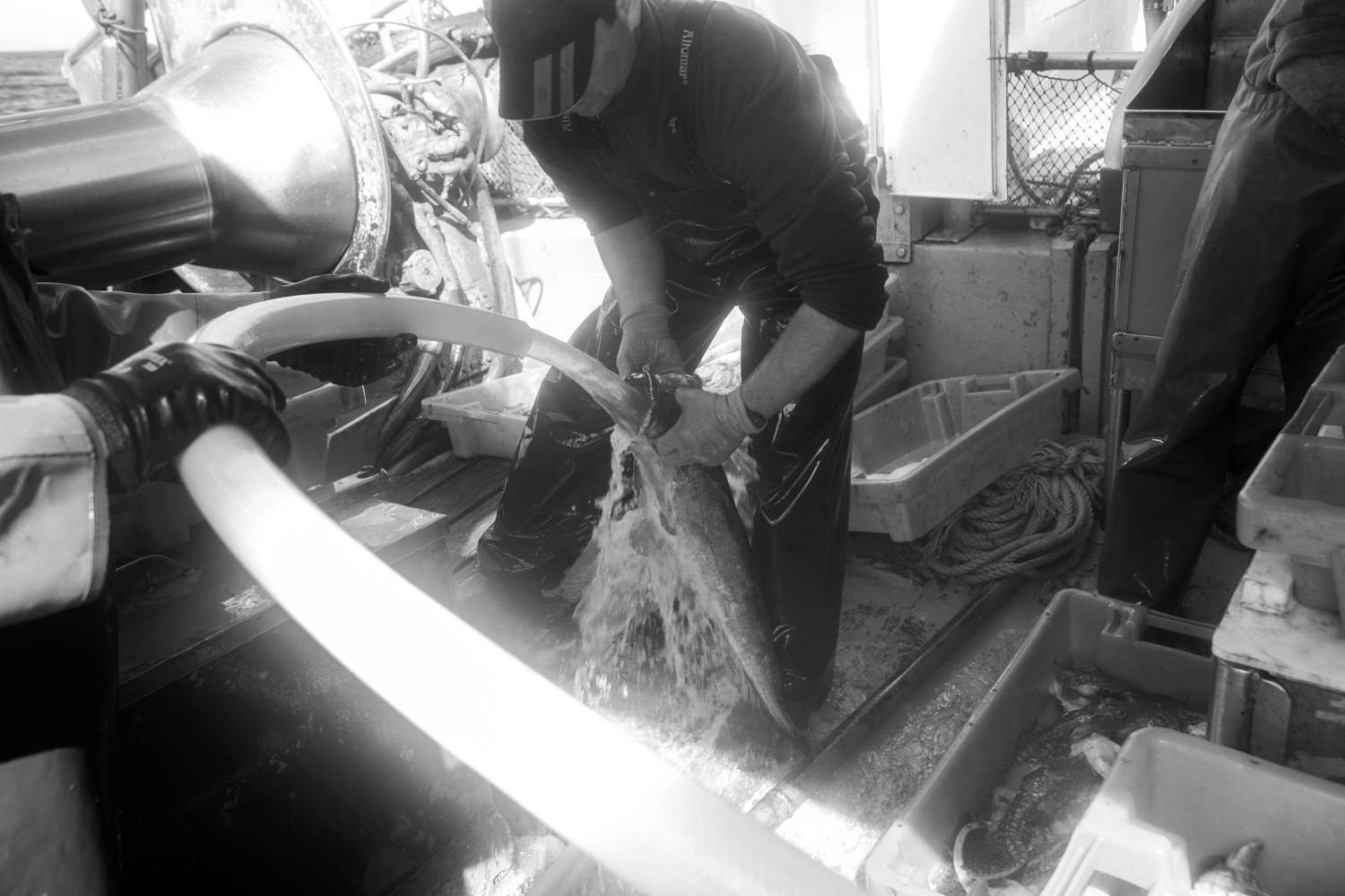 Pesca em Peniche 026