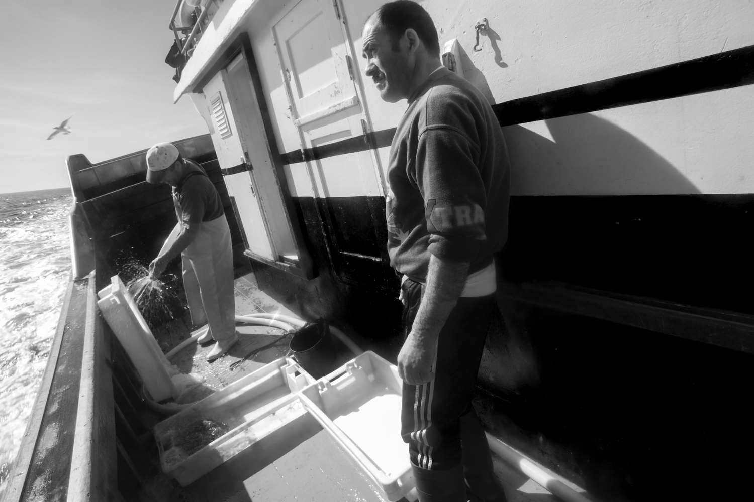 Pesca em Peniche 029