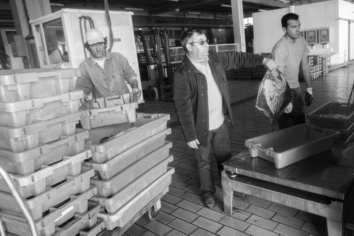 Pesca em Peniche 031