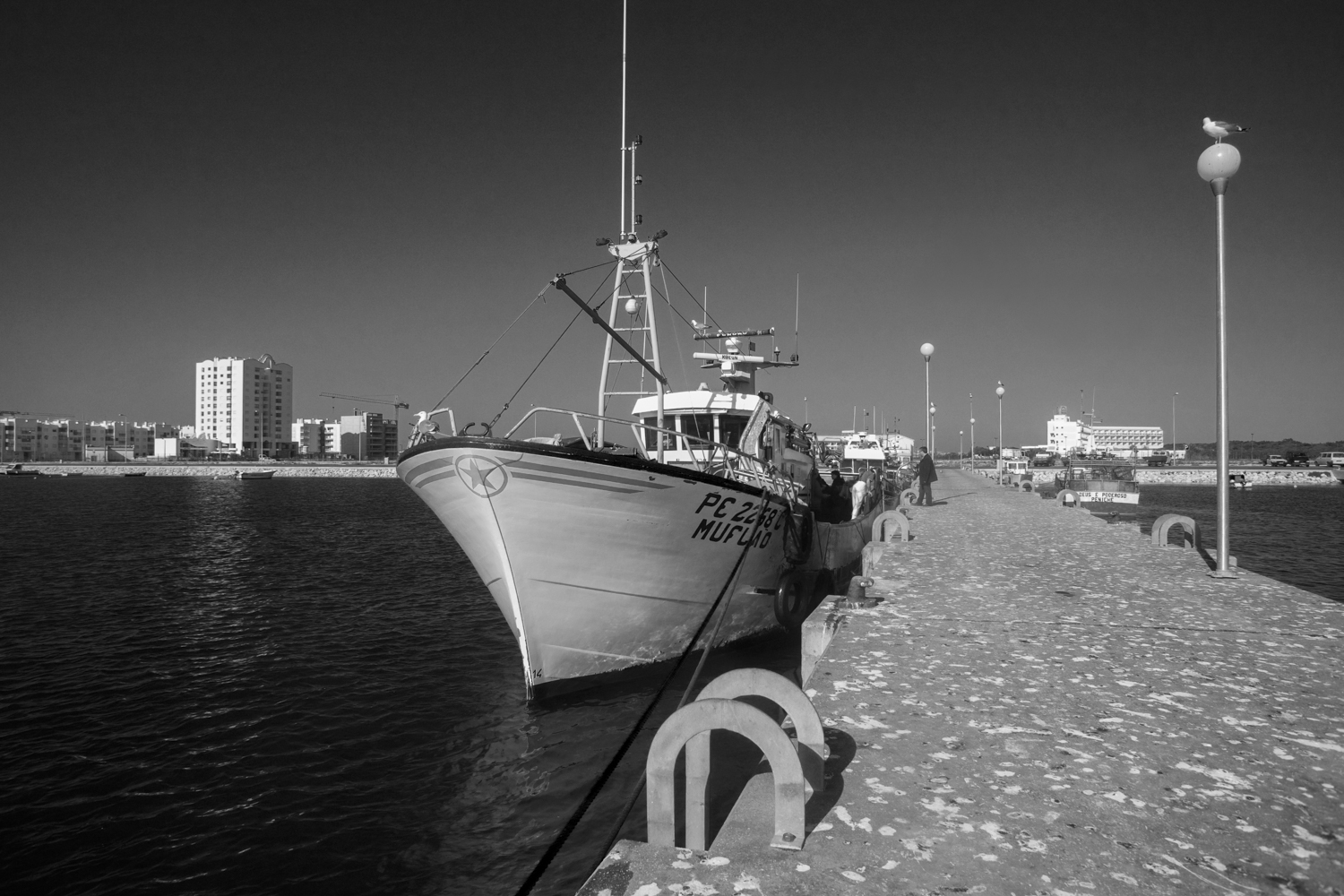 Pesca em Peniche 033