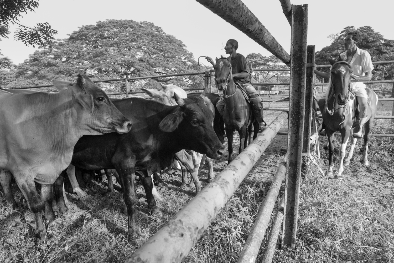 Venezuela Caracas 006