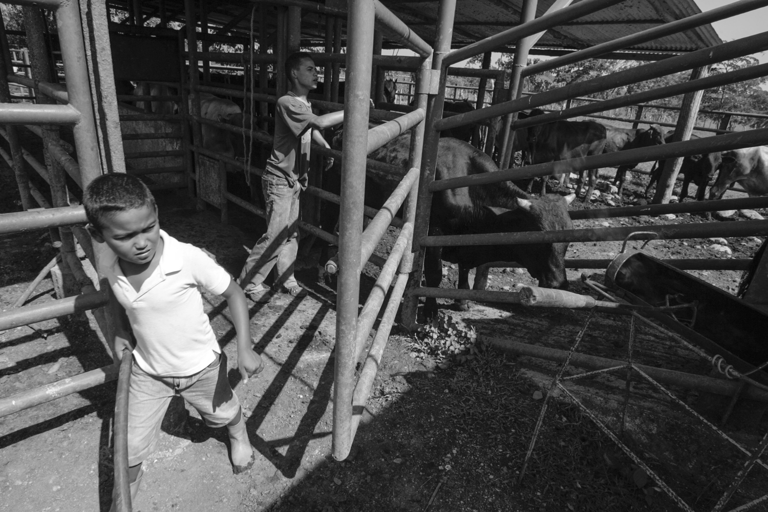 Venezuela Caracas 007