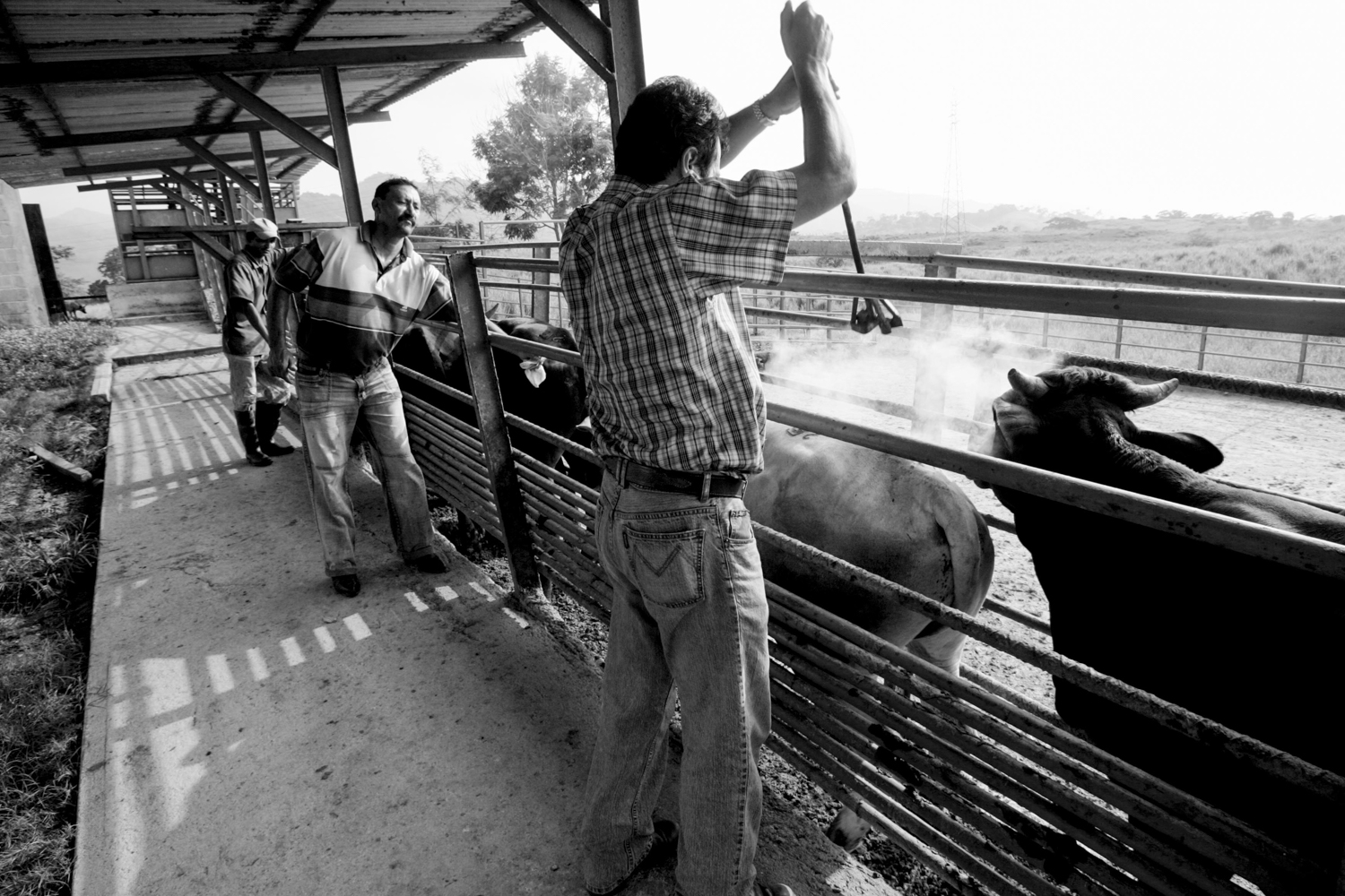 Venezuela Caracas 008