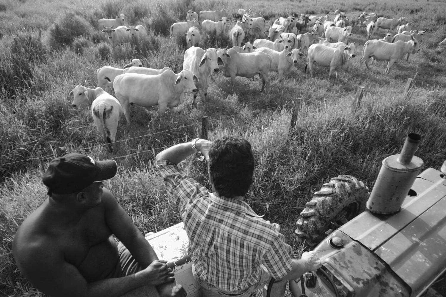 Venezuela Caracas 009